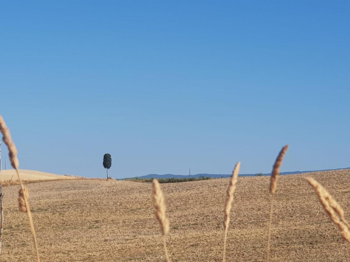 Dimora In San Quirico D'Orcia Lägenhet Exteriör bild