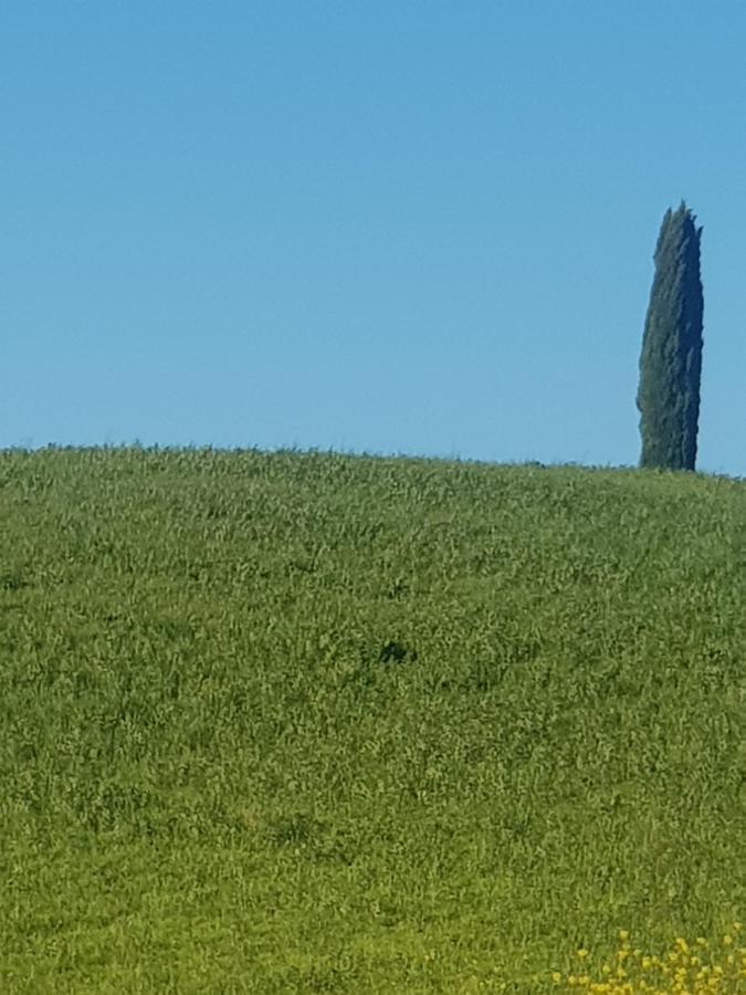 Dimora In San Quirico D'Orcia Lägenhet Exteriör bild